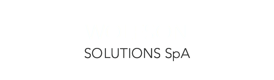&nbsp;WOLFSON SOLUTIONS SpA